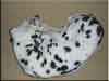 Dalmatians Rule!