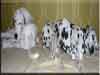 Dalmatians Rule!