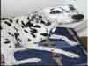 Dalmatians Rule!