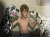 Dalmatians Rule!