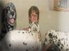 Dalmatians Rule!
