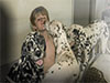Dalmatians Rule!